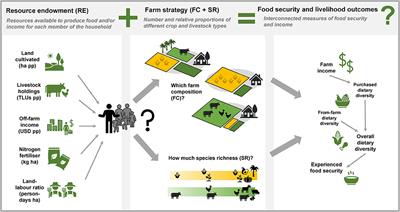 Can the Right Composition and Diversity of Farmed Species Improve Food Security Among Smallholder Farmers?